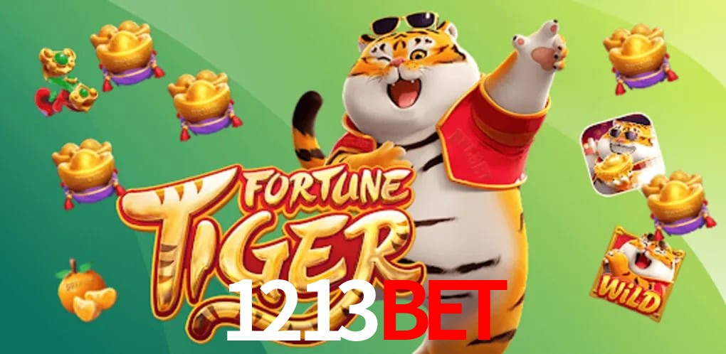 Experiência VIP 1213bet